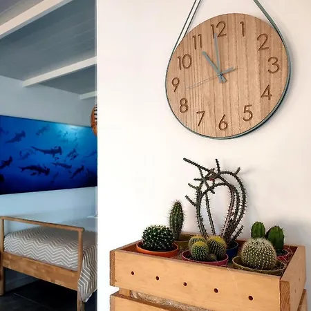 Apartment Atico En Canteras